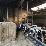 De Schuur Hébergement de vacances *