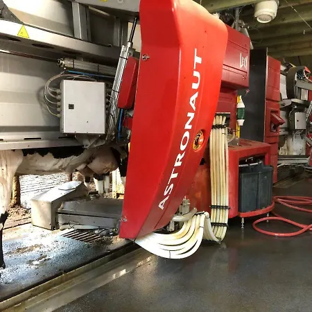 De Schuur 度假居 *