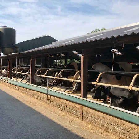 De Schuur Ferienhaus Walem