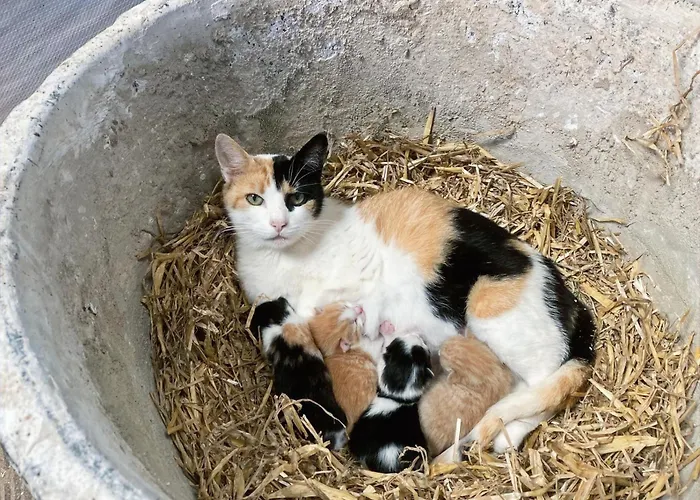 Casa vacanze De Schuur *