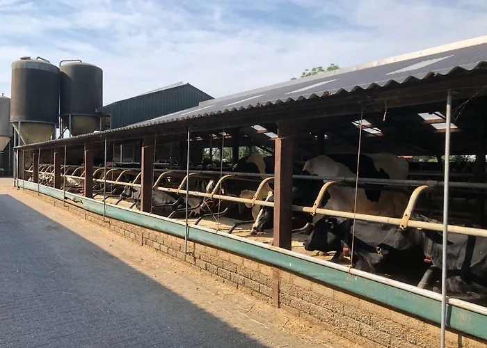 De Schuur Casa vacanze Walem