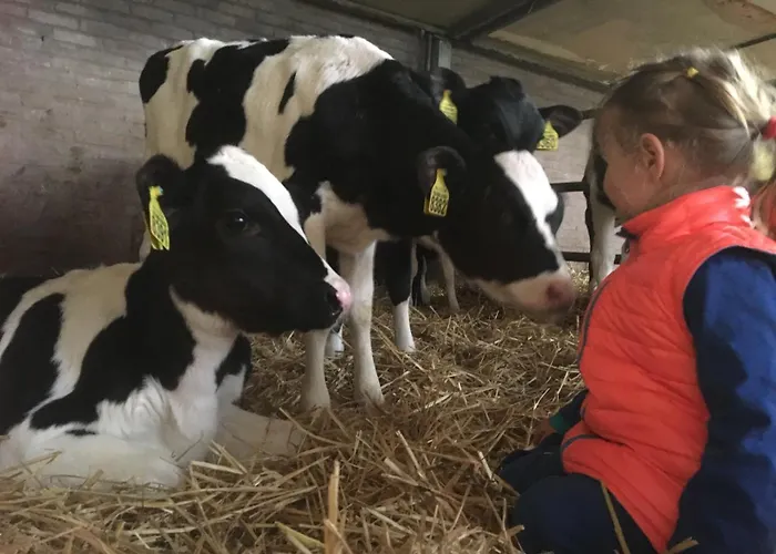 De Schuur Hébergement de vacances *