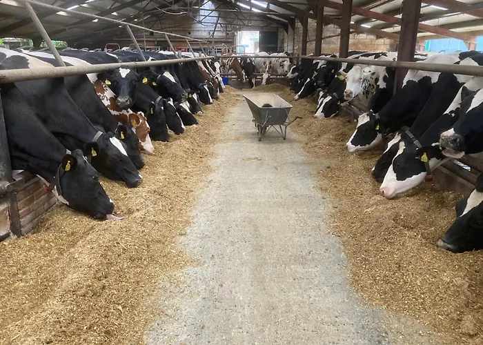 Hébergement de vacances De Schuur *