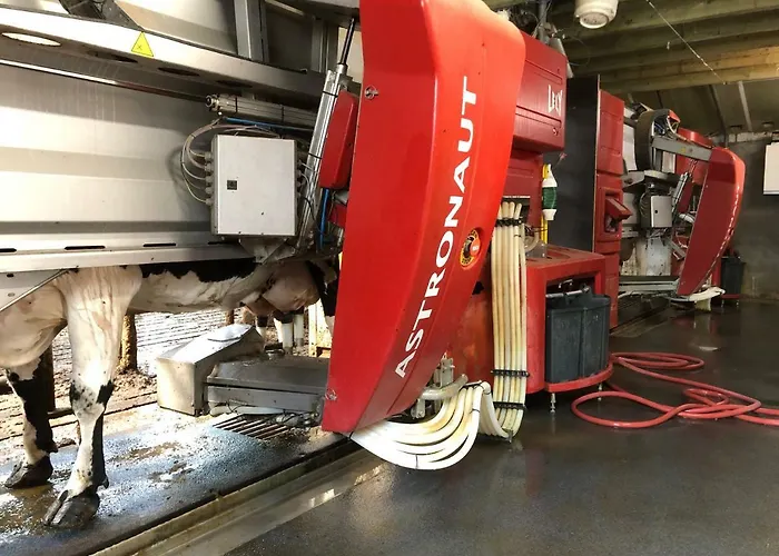 De Schuur Hébergement de vacances *