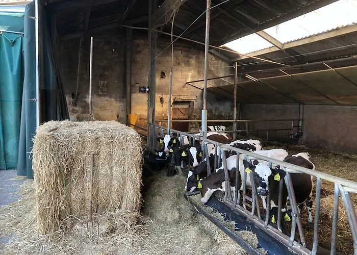 De Schuur Hébergement de vacances *